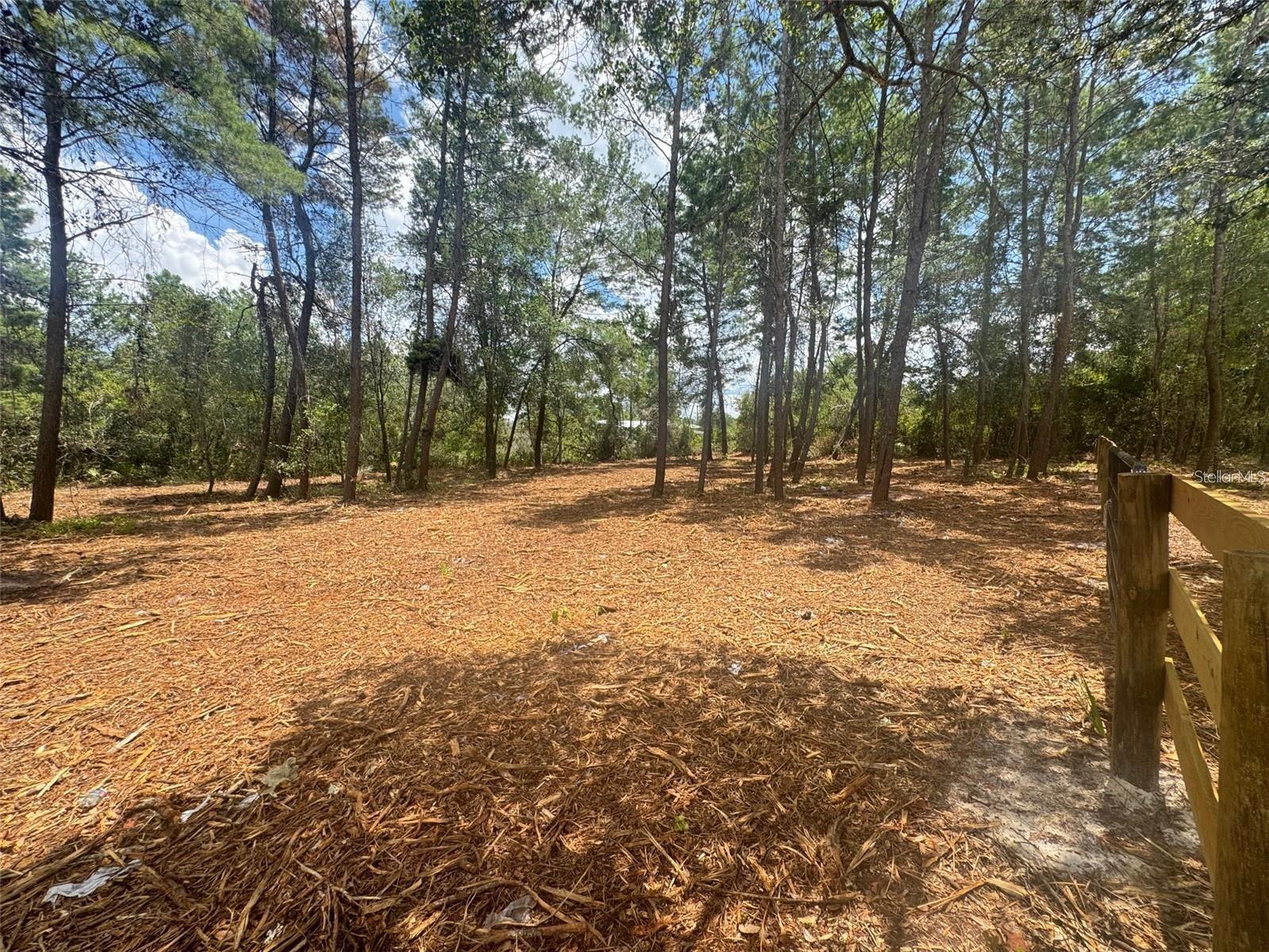 LAKE KATHRYN HEIGHTS REP - Land