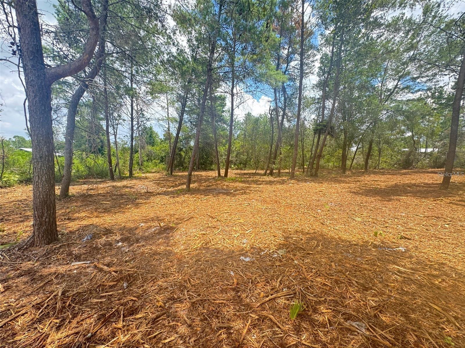 LAKE KATHRYN HEIGHTS REP - Land