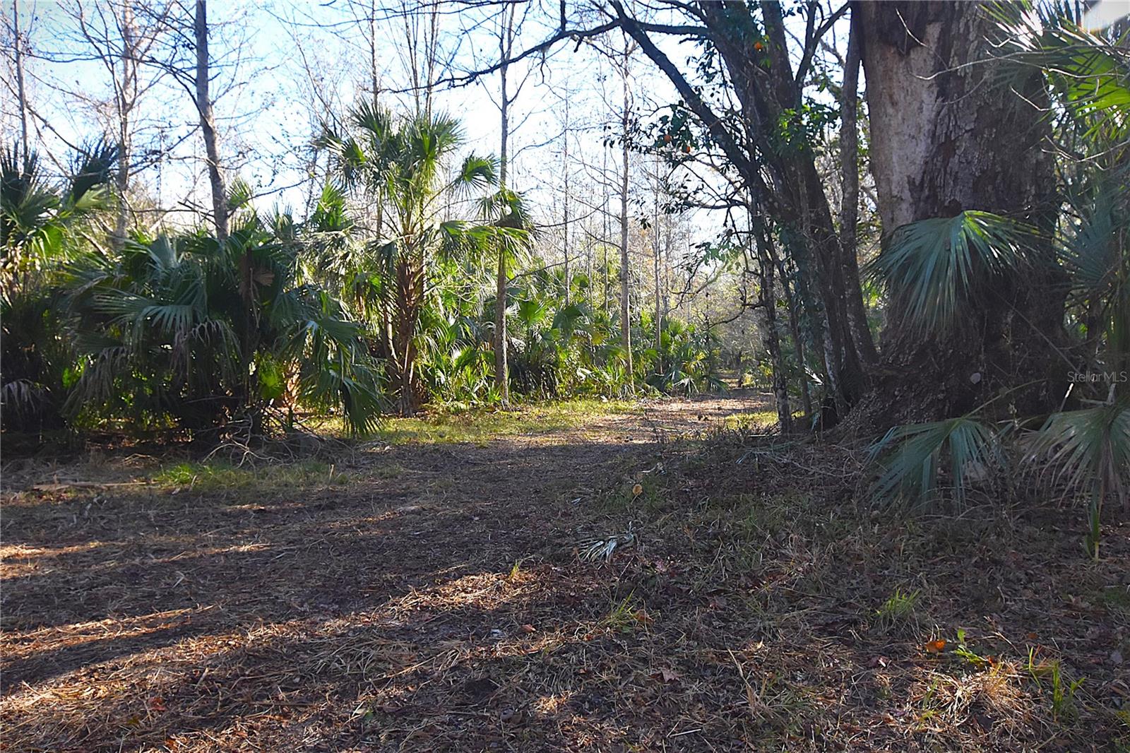 PRICE REDUCED ON 5 ACRES OF GORGEOUS HIGH AND DRY PRIVACY! SELLER SAYS BRING ALL OFFERS! This is 5 acres high and dry in Flood Zone X: "Out of Special Flood Hazard Area", on a County Maintained Road! This is a beauty of a parcel with the kind of privacy that's getting almost impossible to find anymore, and even has a small pond for a bit of tranquility. And this isn't just a lot, it’s a full 5 acres, partially cleared for access, and with 344 feet of frontage on Lingo Grove Rd. Seller is also offering further clearing for buyer. Note, this road is NOT paved, so traffic is minimum assuring privacy and peace and quiet. There is wildlife in rural areas, including turkey, deer, hogs and others, so places like this aren't for everyone. But if you're looking for some peace and quiet and still be within range of modern conveniences like shopping and recreation, this could be your next home base. Utilities are available at the street (electric only). No HOA's here, so park your boat, motor home, or machines and enjoy the personal space. Veterans and Horses always Welcome!