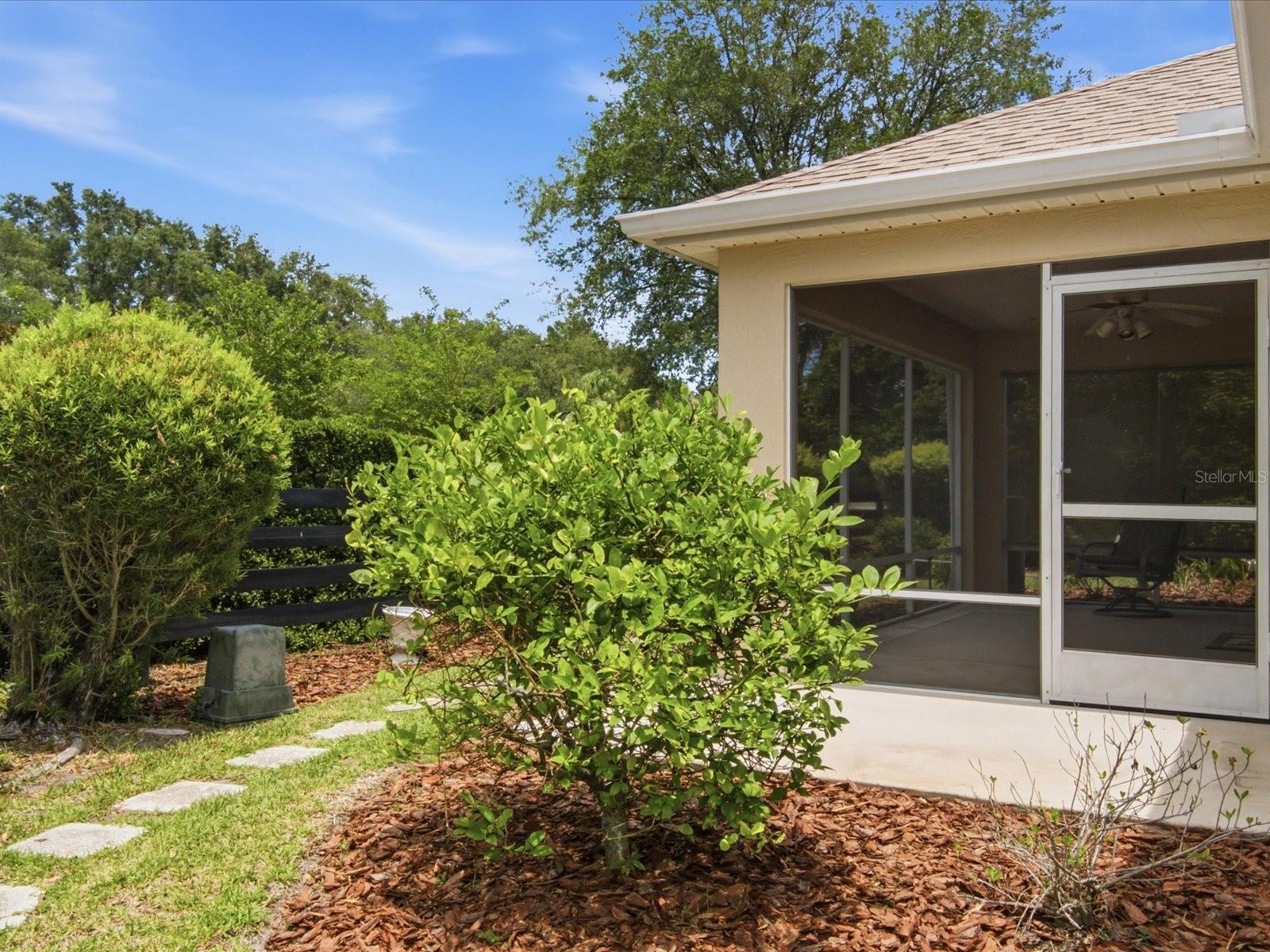 VILLAGES OF SUMTER - Residential