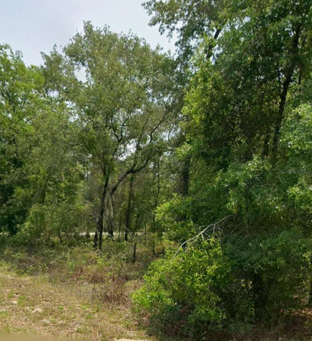 RAINBOW LAKES ESTATE - Land