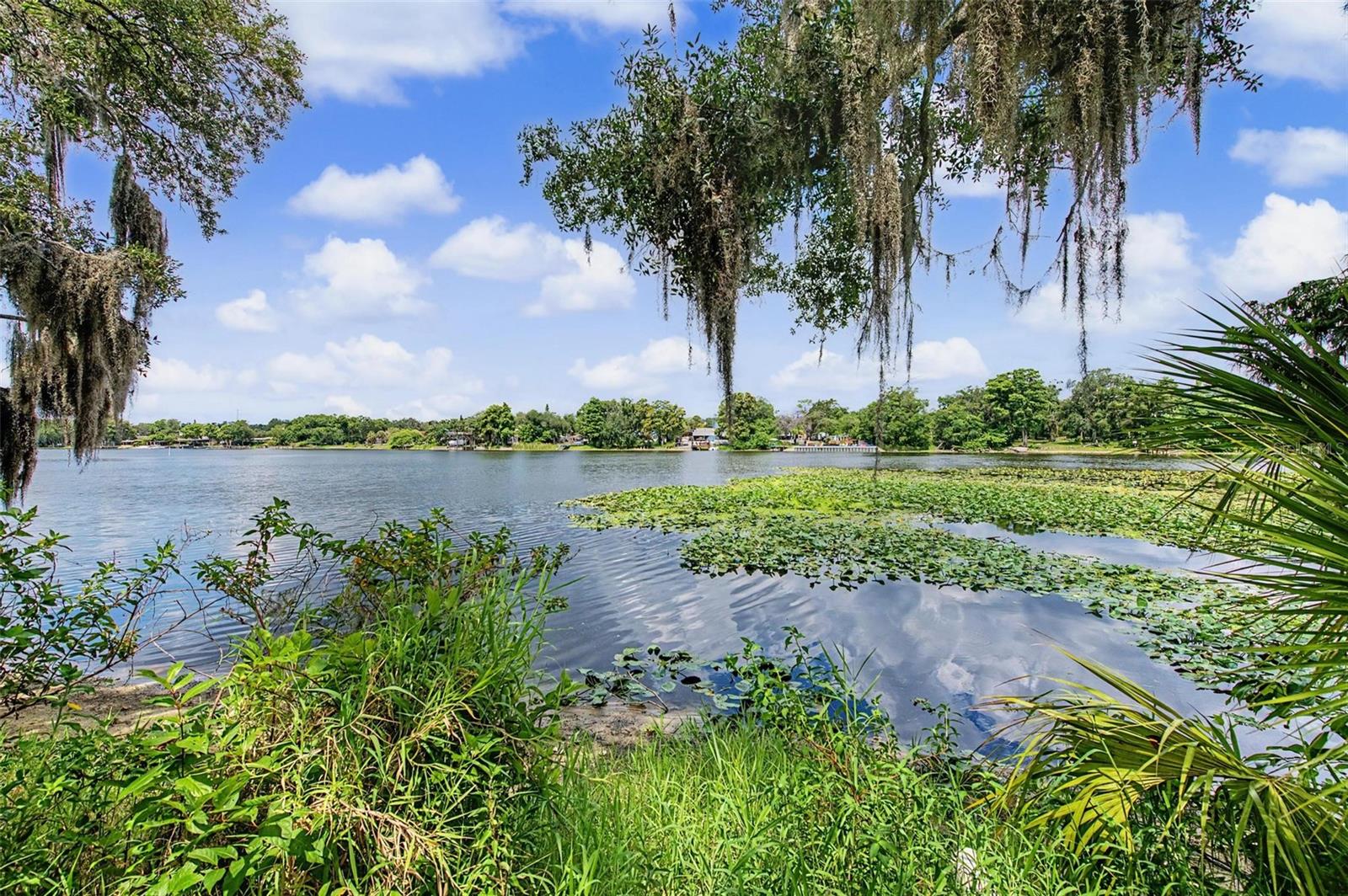 RIVERWALK AT WATERSIDE ISLAND - Residential