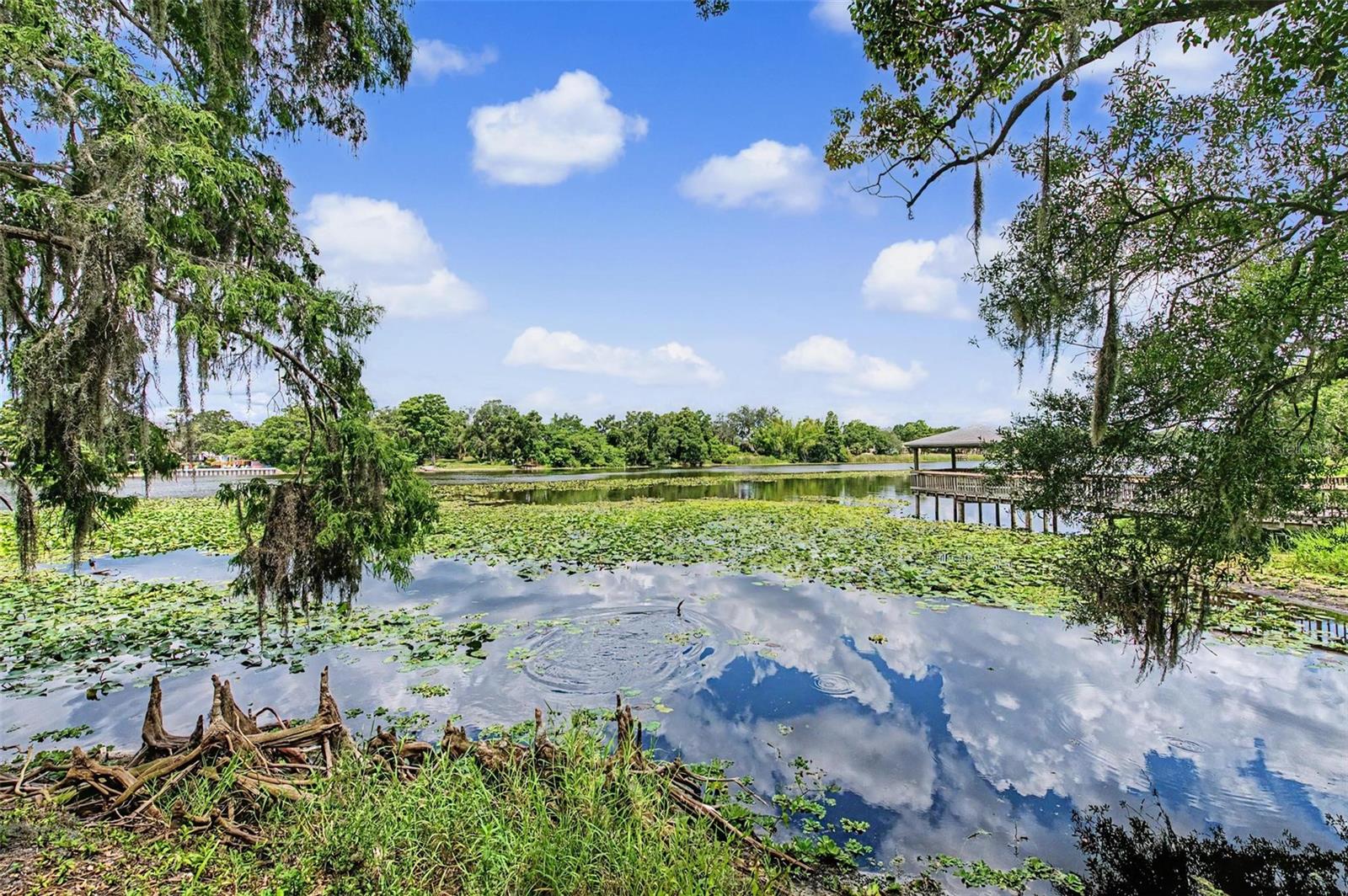 RIVERWALK AT WATERSIDE ISLAND - Residential