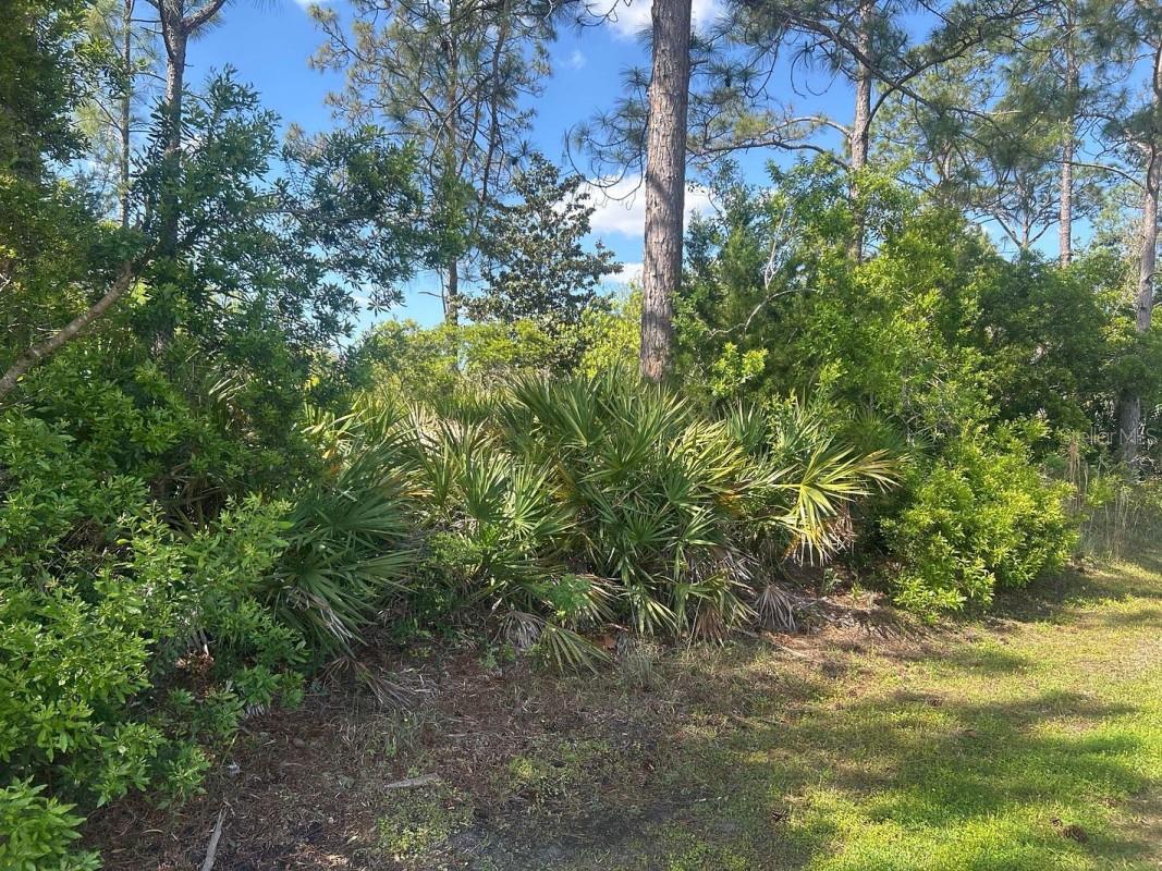 This is a premier 1/4 lot in upscale Palm Coast corner lot. This property is poised for building your dream home and enjoy the beaches.