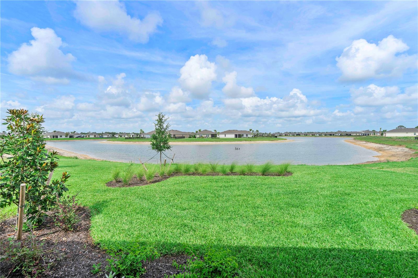 BABCOCK RANCH COMMUNITY PALMET - Residential