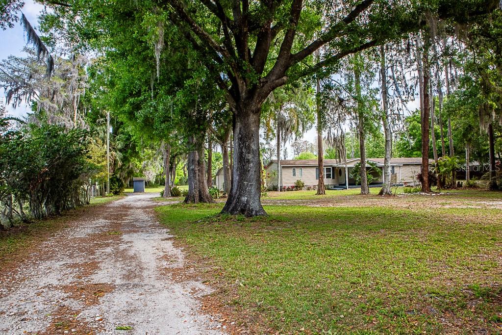 Located in the heart of Odessa, this rare 4-acre property offers the perfect blend of privacy, natural beauty, and endless potential. With approximately 3 acres of buildable land and 1 acre of serene wetlands, the setting is peaceful and picturesque, ideal for those seeking space, freedom, and a true connection to nature.
The existing home provides a unique opportunity to live comfortably on the property while designing and building your dream estate. Whether you envision a custom luxury residence, a private family compound, or a charming farmstead, this property gives you the flexibility to create exactly what you want without the restrictions of an HOA.
This property also offers an additional opportunity through a separate listing featuring new construction options with a builder. Buyers may choose to purchase the property as is and build independently, or explore available home designs with the builder offering modern layouts and high-end finishes. Plans and pricing vary.
Surrounded by estate-sized properties and upscale homes, this location offers a peaceful, rural feel with convenient access to everyday essentials. Just minutes from Veterans Expressway for an easy commute, and close to shopping and dining at Citrus Park Town Center. Outdoor enthusiasts will enjoy nearby parks like Upper Tampa Bay Park, offering trails, kayaking, and scenic waterfront views.
With no HOA, no CDD, and plenty of room to grow, this is a truly special opportunity to own a piece of Odessa where you can build, live, and create a lifestyle entirely your own. For additional information regarding new construction options, please contact the listing agent.