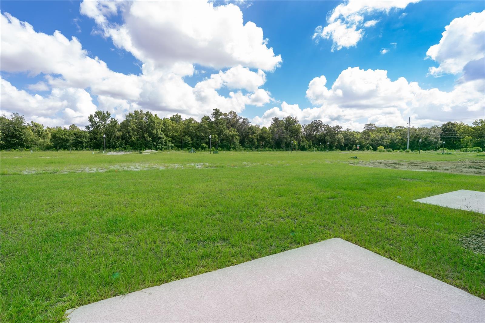 TEMPLES XING - Residential Lease