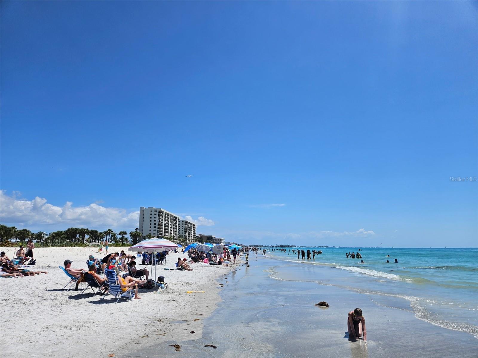 LONE PALM BEACH CONDO - Residential