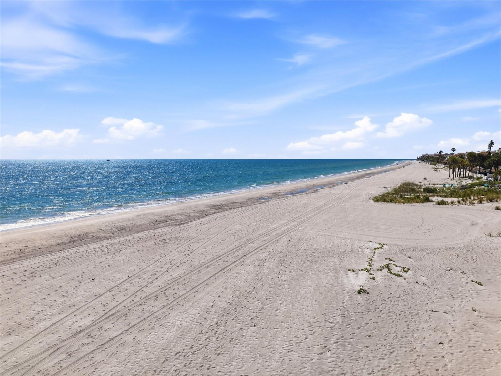 LONE PALM BEACH CONDO - Residential