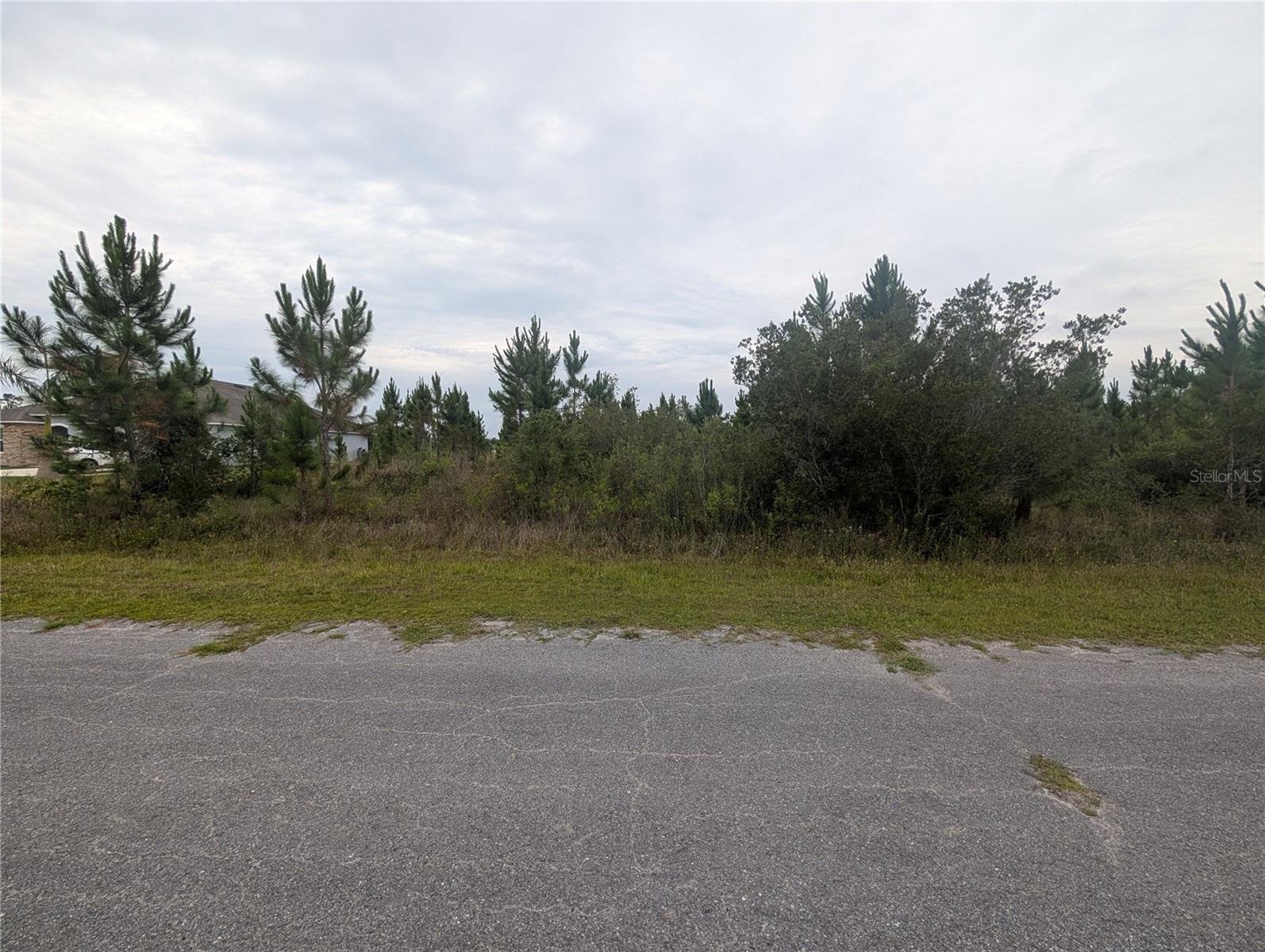 INDIAN LAKE ESTATES - Land