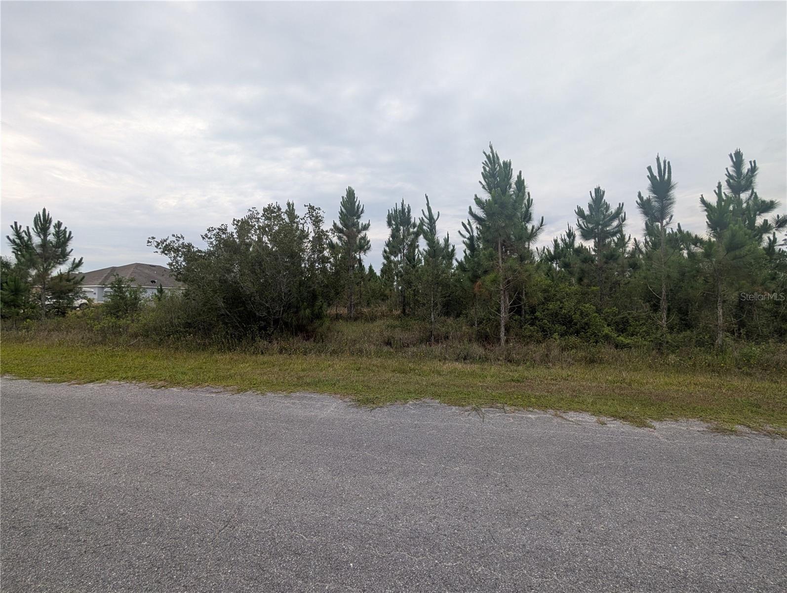 INDIAN LAKE ESTATES - Land