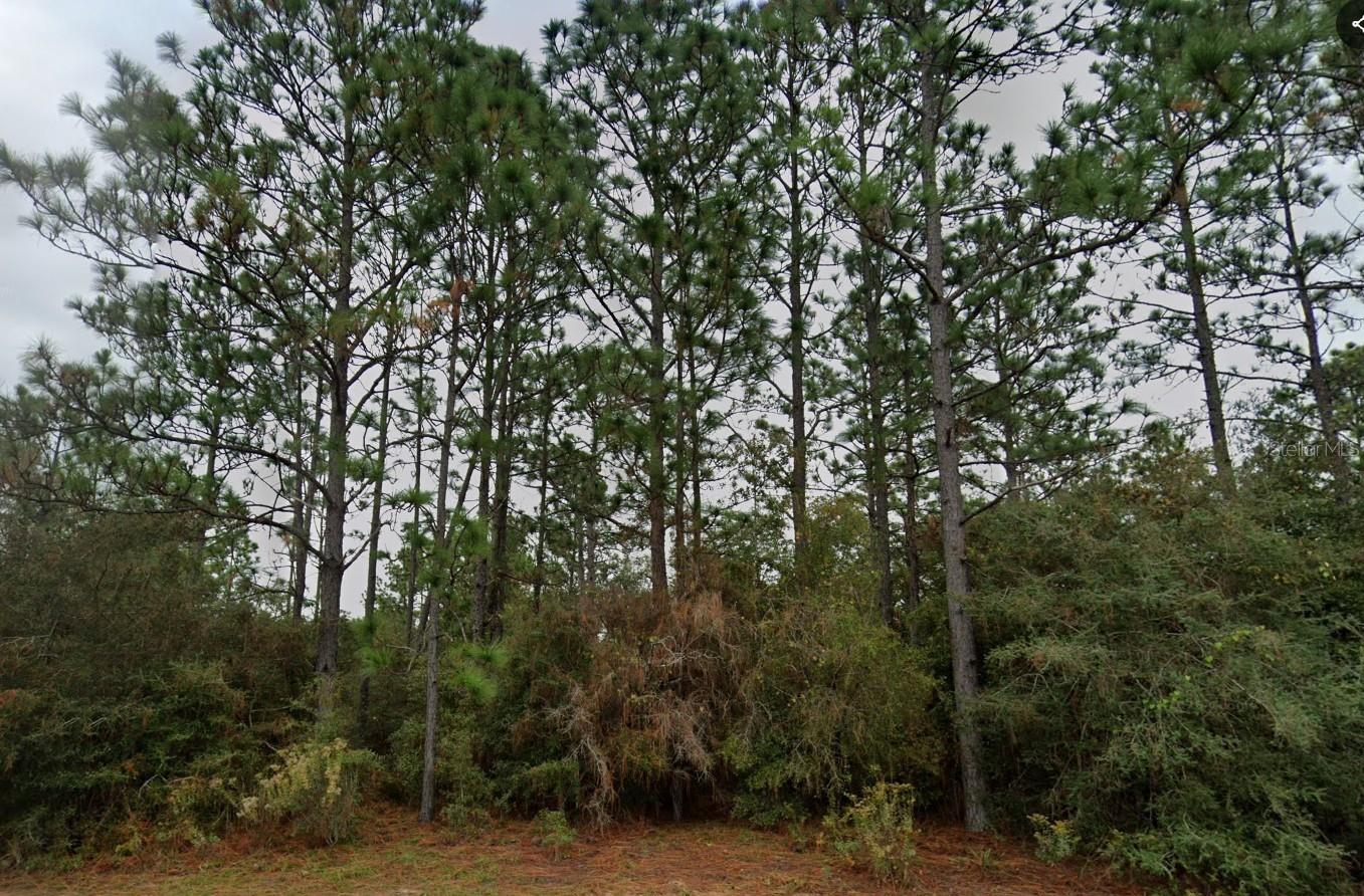Prime Oversized Mixed-Use Lot in Sunny Hills! Discover the possibilities with this 0.69-acre vacant lot offering 100 feet of paved road frontage on Deltona Blvd. Zoned Mixed Use, this spacious parcel provides outstanding flexibility for future development in one of Washington County's growing communities. Conveniently located near Sunny Hills Golf Club, lakes, parks, and approximately 45 minutes from Panama City Beach, this property is ideal for investors, builders, or anyone looking to secure land in an expanding area. Don't miss this opportunity to own a generously sized parcel with excellent potential!