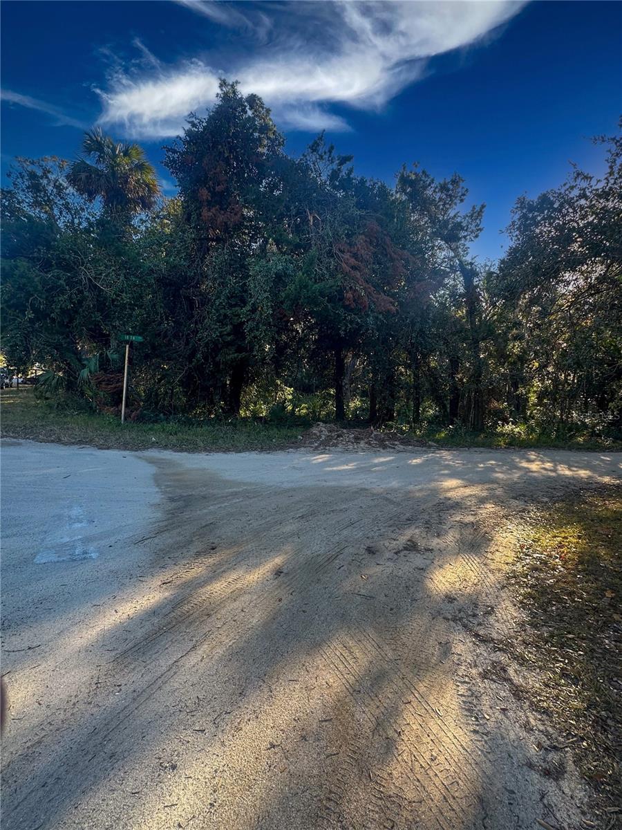 HAMMOCK - Land
