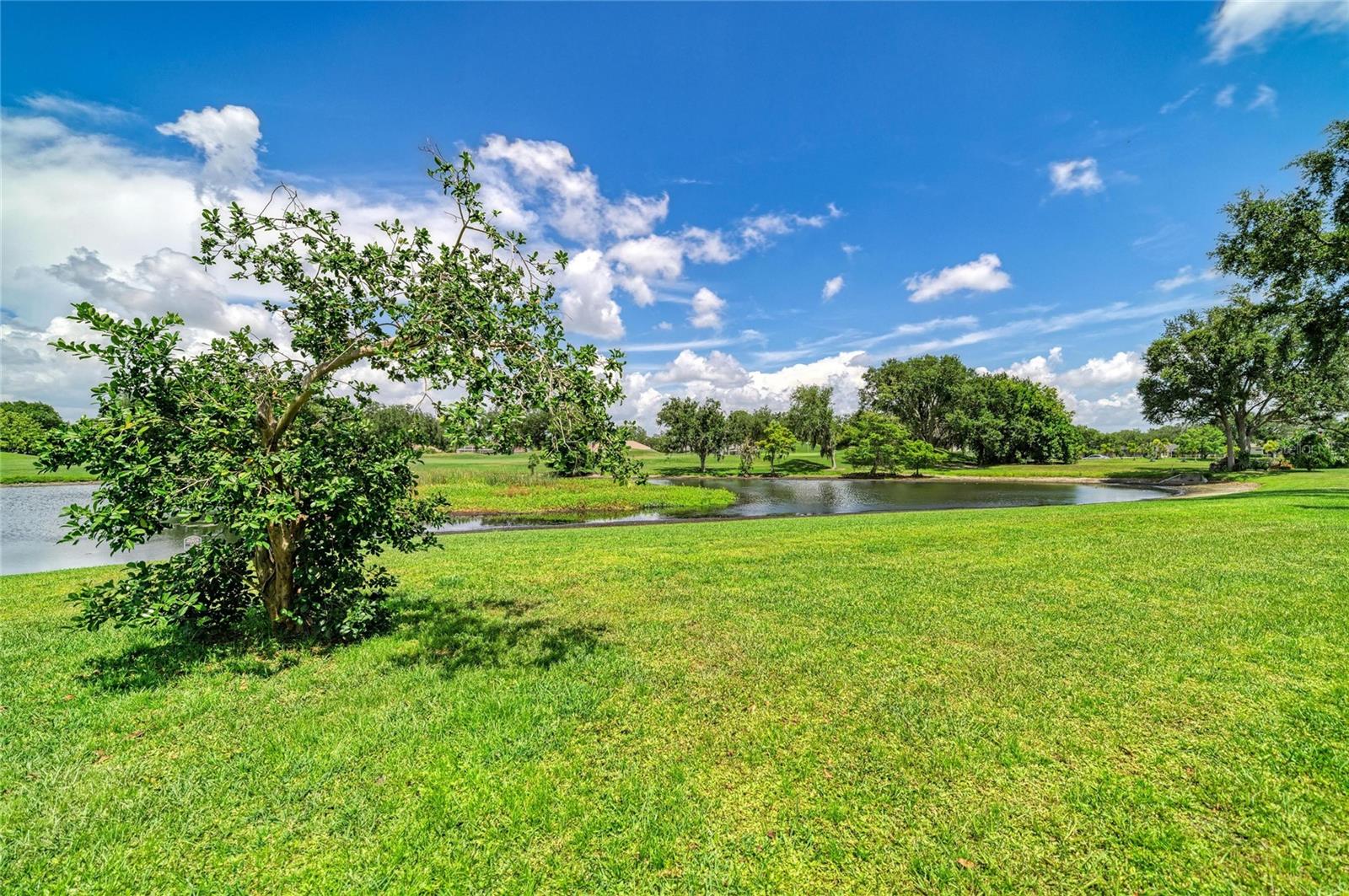 BRADEN WOODS PH VI - Residential