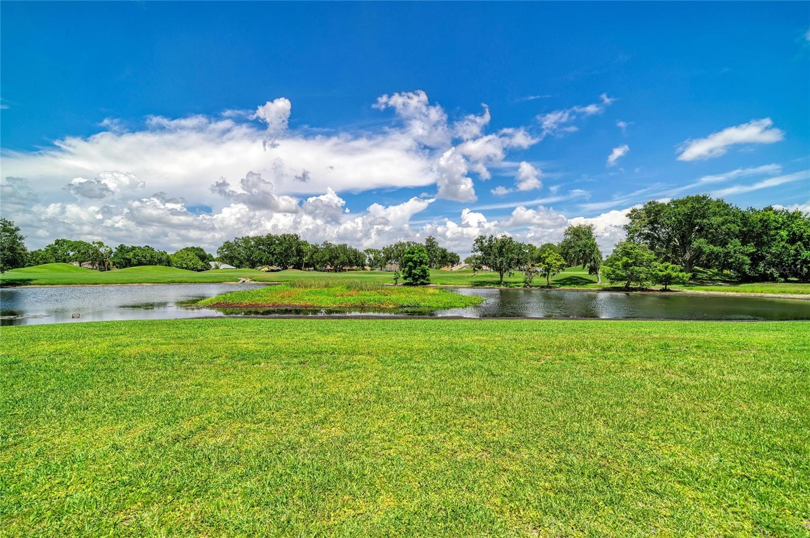BRADEN WOODS PH VI - Residential