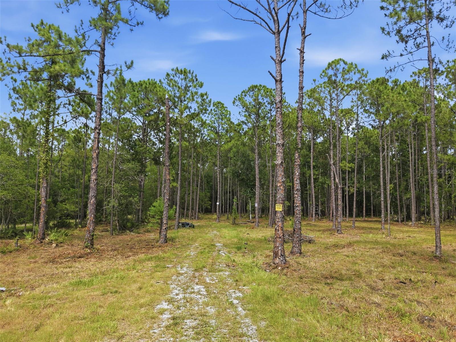 KEYSTONE PARK COLONY LAND CO - Land