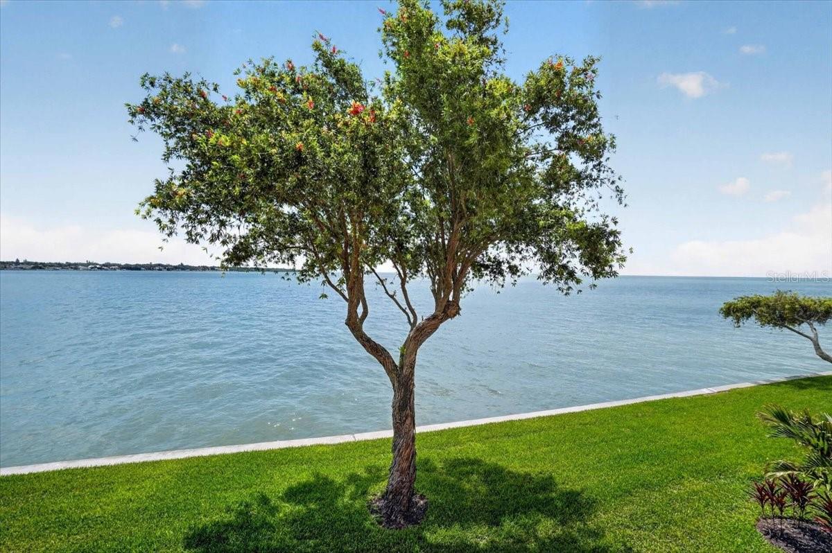 SOUTH BAY CONDO - Residential