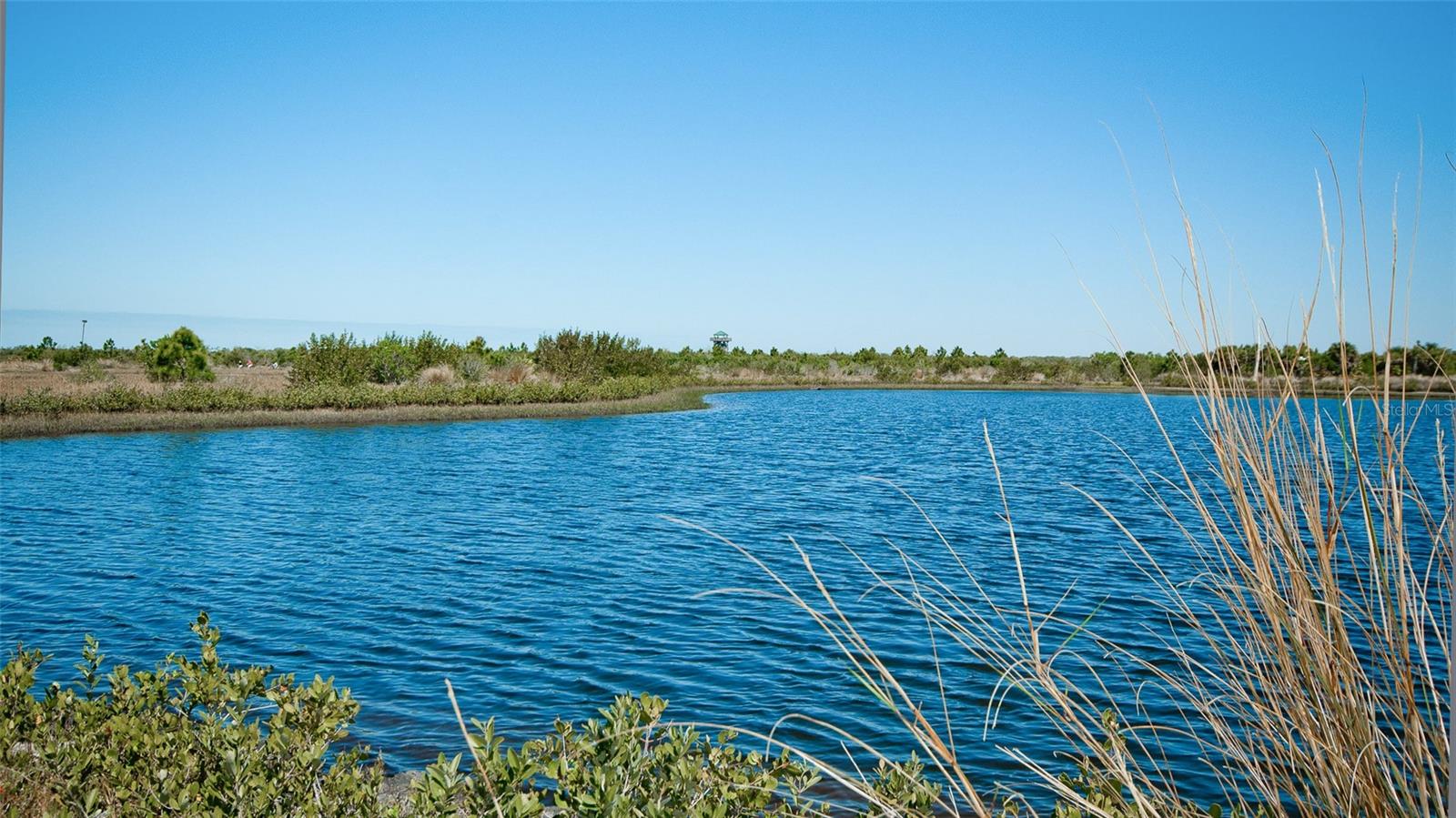 WILDEWOOD SPGS STAGE 5A OF LAKESIDE - Residential