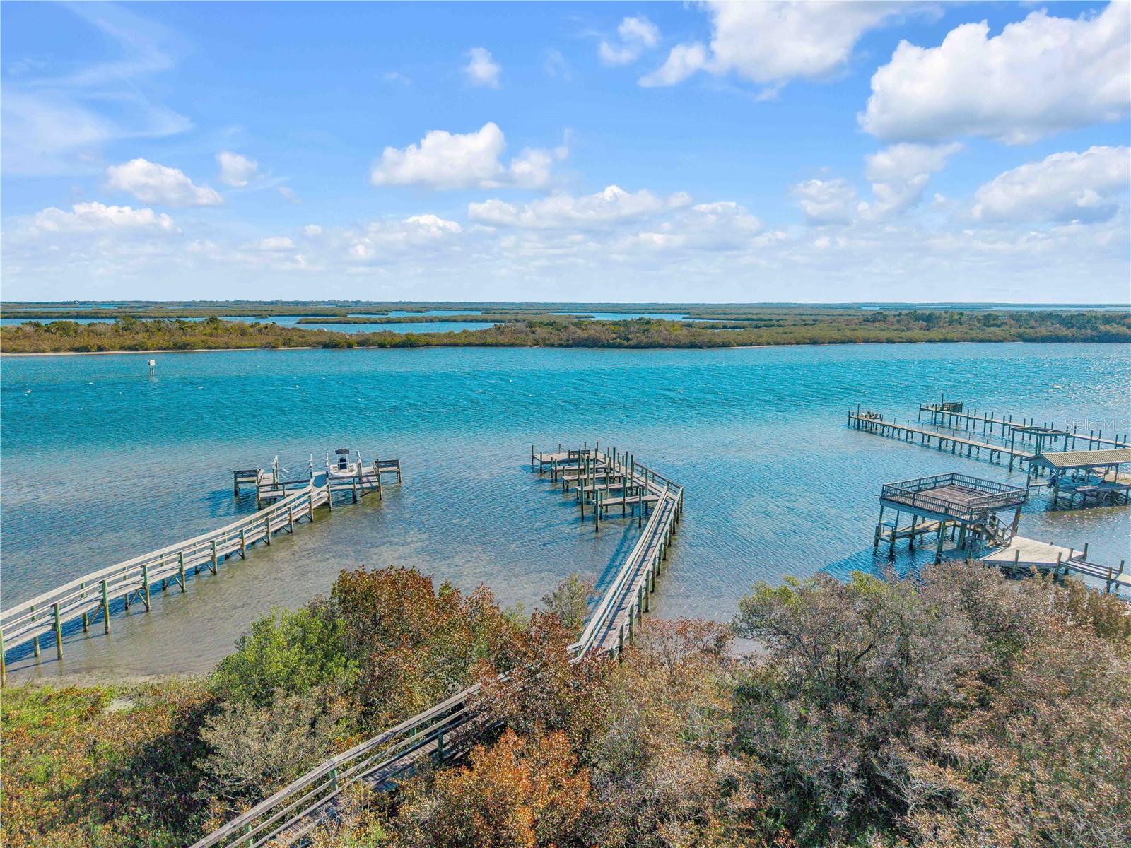 It is about Location and the View !!!! You cant miss this one !!  It comes FURNISHED!! Just move in. Located in the gated community of Light House Cove. This home has two bedrooms, two bathrooms with den that can be used as a 3rd bedroom.  It also has a screened porch, inside utility room, sprinkler system, washer, dryer, carport with storage shed.  Enjoy Great river views from your living room or deck.  This property has Florida living written all over it with a community Club House, Large Swimming Pool, Pickle Ball, Shuffle Board Courts, Fishing Pier, Recreational Picnic Area on river and boat ramp for shallow water boats. You can watch the boats go by from the comfort of your living room.  Home is pristine and has been well taken care of with a with new roof, double pane high impact resistant windows, patio door, flooring, water heater, refrigerator and updated kitchen.  The river is just steps away from this home for the an easy launch of your kayaks to explore the back waters.  It is a great place to call home with sunrises, moonrises, rocket launches all close.  Golf Carts are a second means of transportation within this community. The subdivision is active with community events through the year.  Community dock has a boat ramp to launch your boat.  Mosquito Lagoon and its backwaters for some of the best fishing in the World. Head to lunch/dinner to several waterfront establishments within the area.