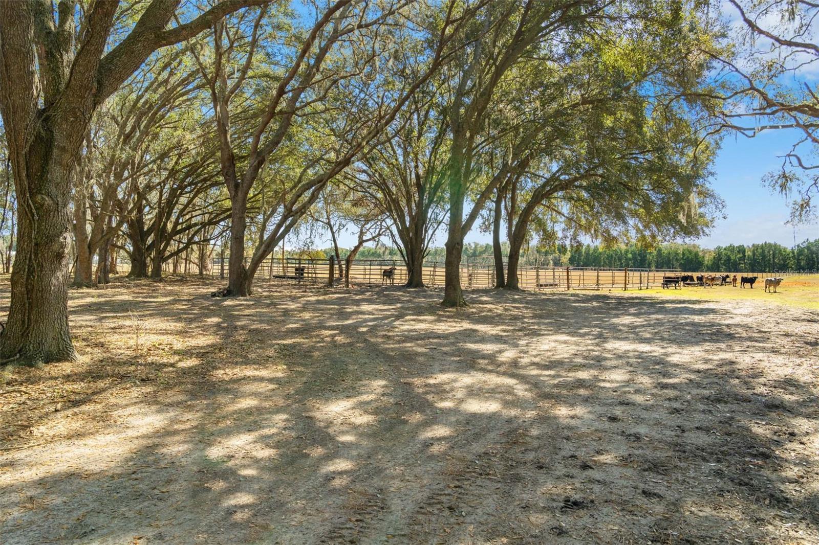 GROVELAND FARMS 23-23-24 - Land