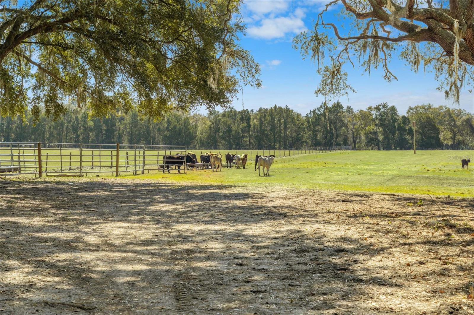 GROVELAND FARMS 23-23-24 - Land