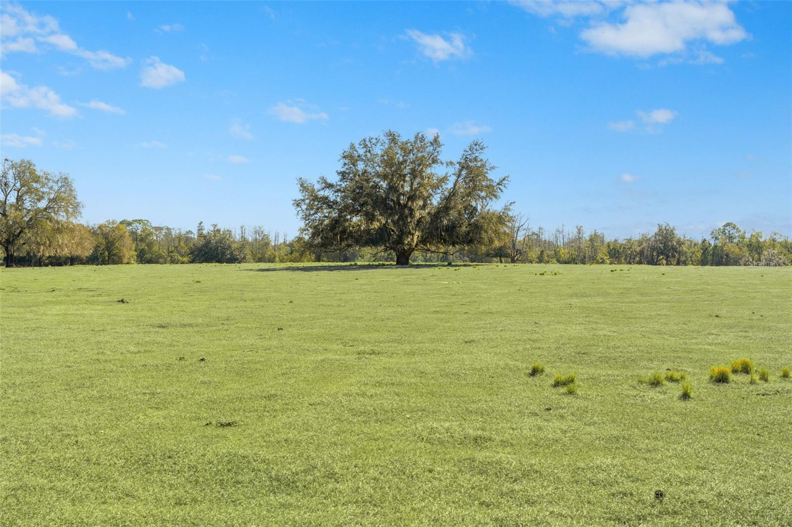 GROVELAND FARMS 23-23-24 - Land
