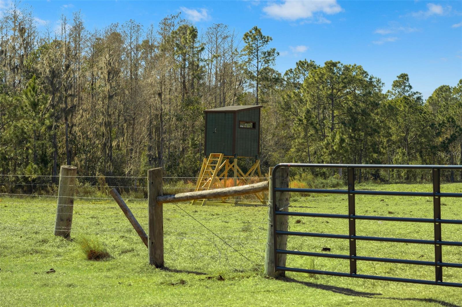 GROVELAND FARMS 23-23-24 - Land