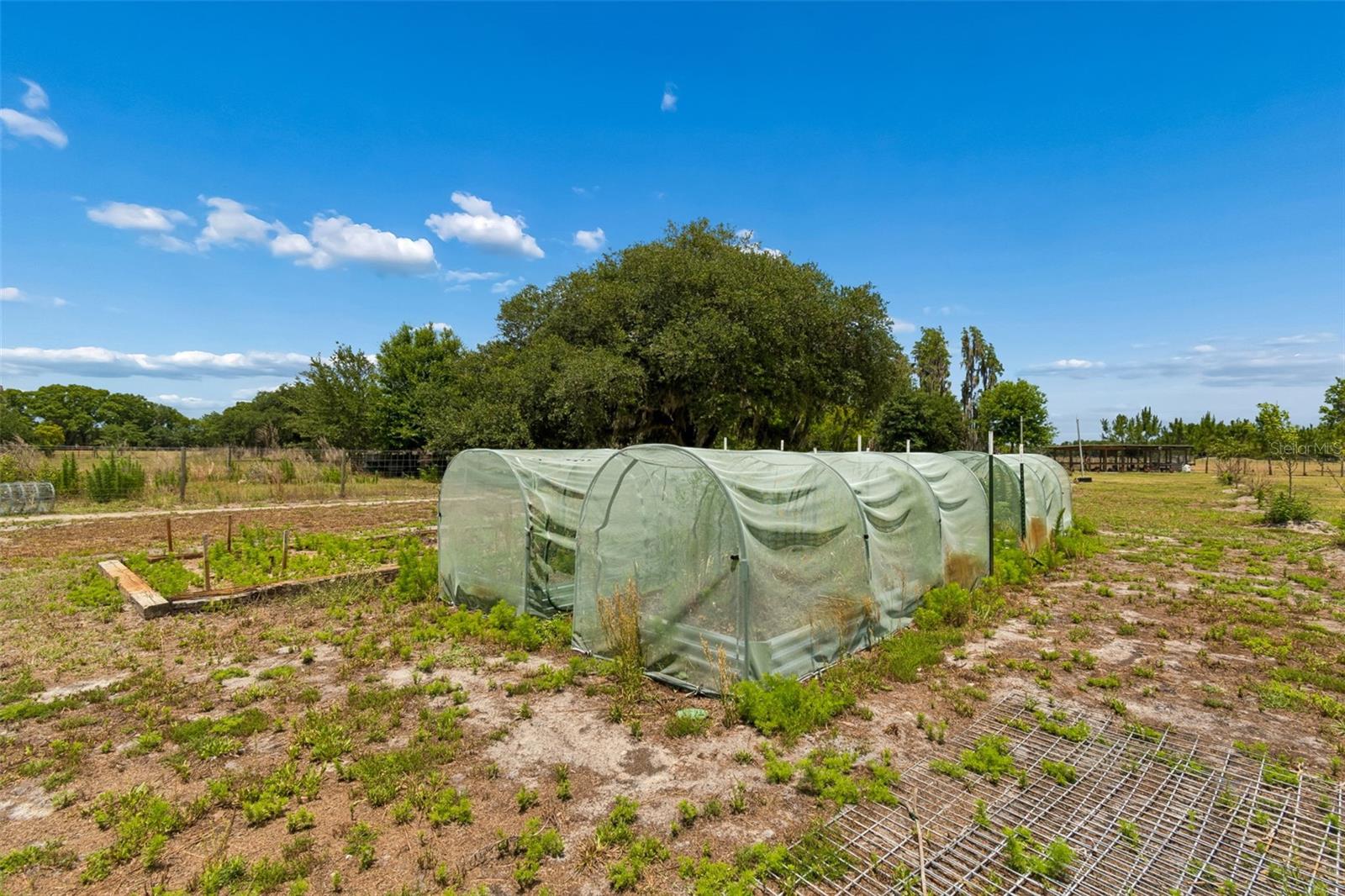 CRYSTAL SPGS COLONY FARMS - Residential