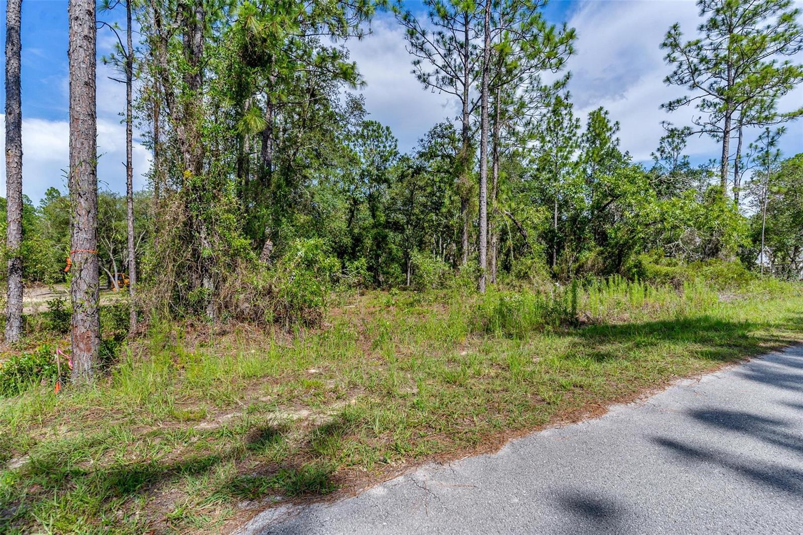 Build your dream home on this beautiful almost 1 acre lot located in Rainbow Lakes Estate! This property offers the freedom to bring your own builder and create the home you've always envisioned. With NO HOA, you'll enjoy the flexibility with your custom home, outdoor living area and more! Located just minutes to the beautiful Rainbow Springs State Park you can enjoy the conveniences to all the local amenities. Whether you are ready to build no or invest for the future, this is an incredible opportunity to own a spacious homesite with endless possibilities. Don't miss your chance to make it yours!
