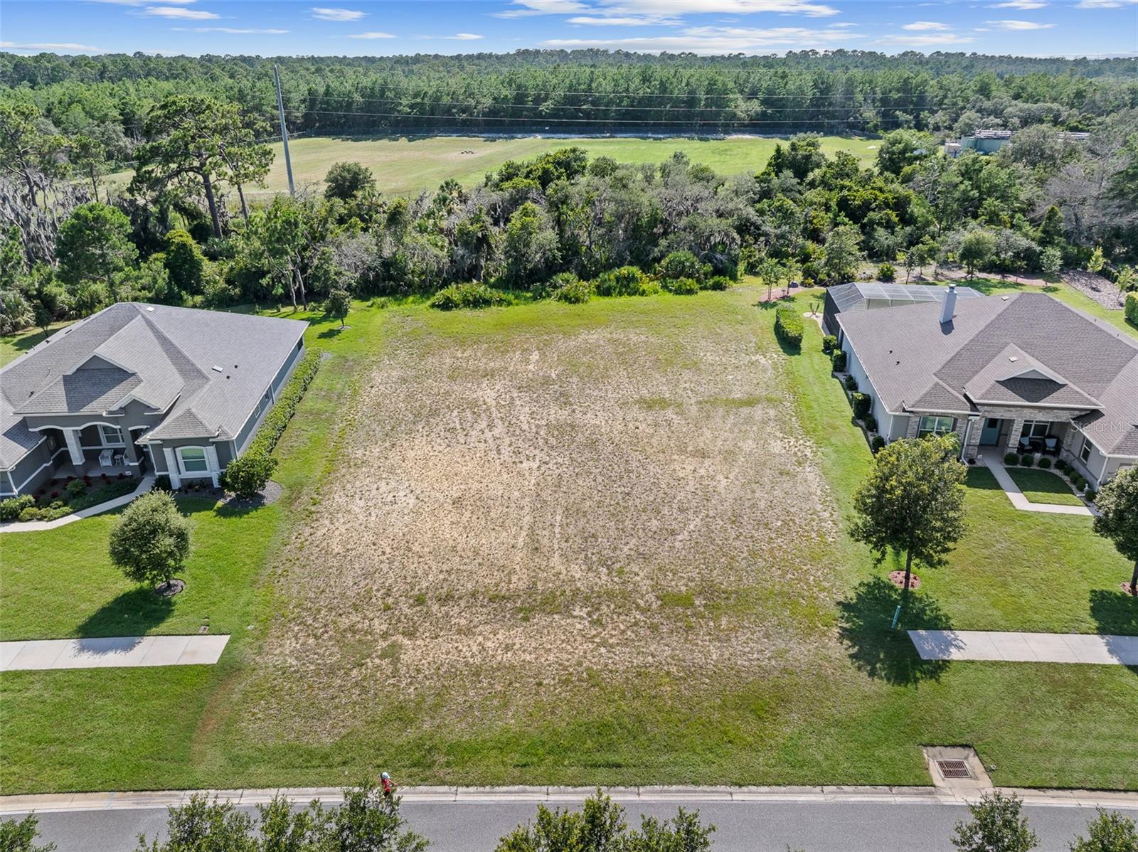 Don't miss this rare opportunity to own the LAST available homesite in the Estates section of Halifax Plantation! Spanning approximately 0.41 acres, this cleared lot is ready for you to build the custom estate home you've always envisioned. Ideally positioned along the community's main boulevard, the property offers outstanding visibility and curb appeal within one of the most desirable neighborhoods in the Volusia and Flagler County area. As an added bonus, this is one of only 17 homesites in Halifax Plantation approved for fencing, providing a unique advantage for privacy, pets, or outdoor living. Enjoy the perfect blend of tranquility and convenience with shopping, dining, entertainment, and the beach just minutes away. Take a drive by and imagine the possibilities—your dream home starts here. Additional amenities available with the Club Membership include golf, clubhouse, fitness center, pool, & tennis. Visit https://www.halifaxplantationgc.com/ for more info!