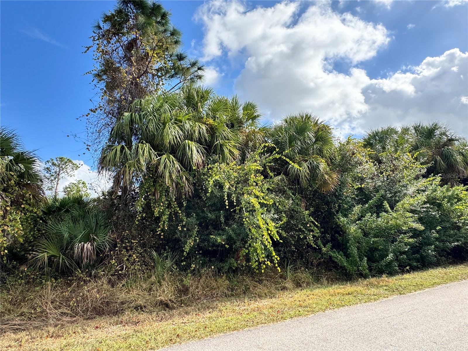 PORT CHARLOTTE SUB 09 - Land