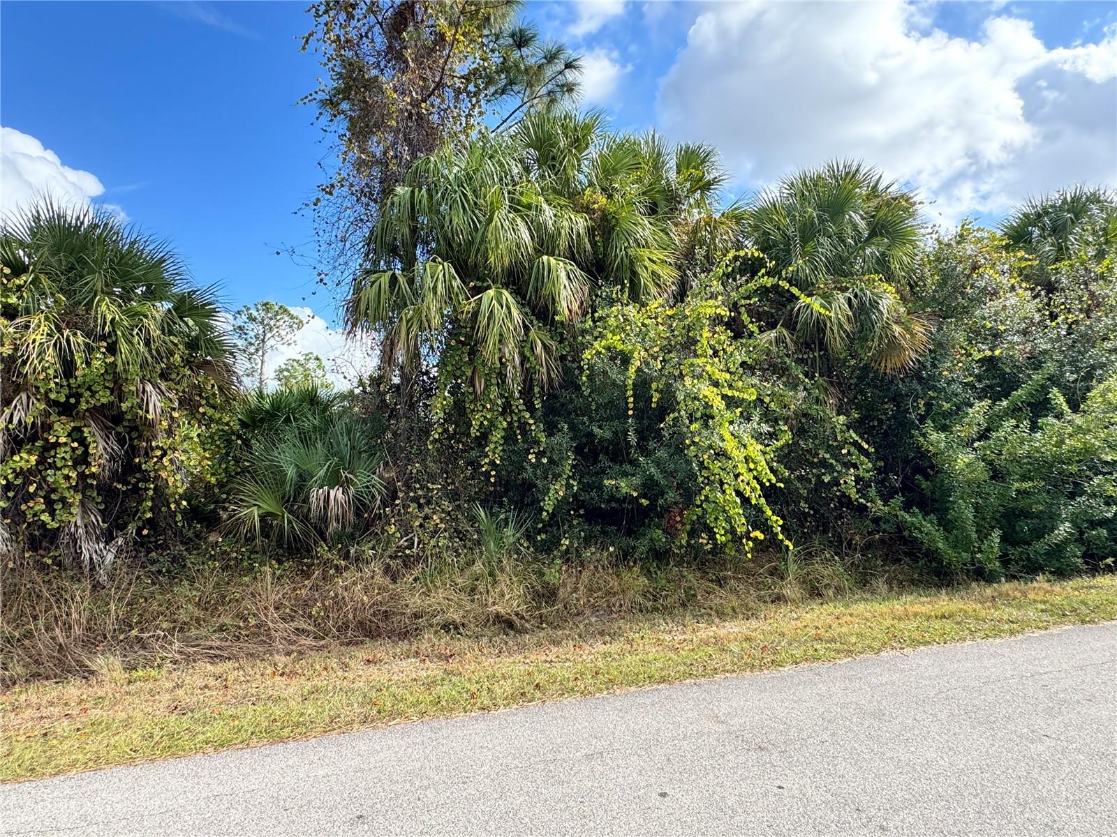 PORT CHARLOTTE SUB 09 - Land