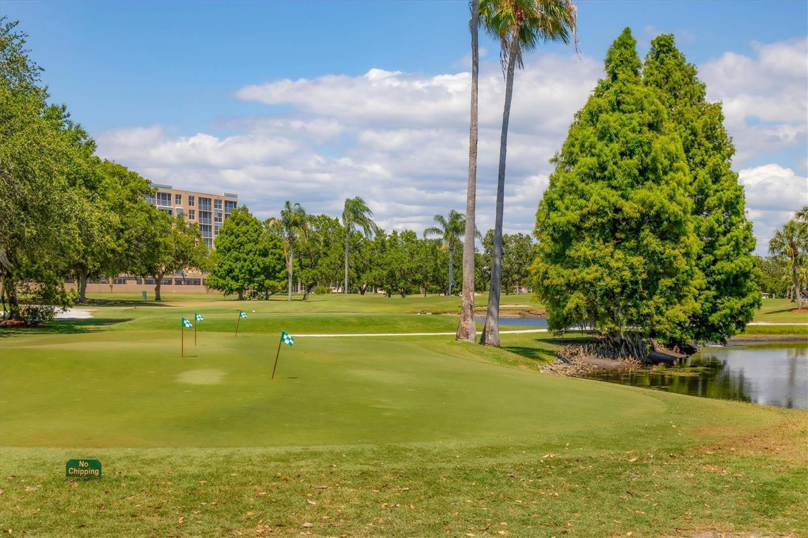 IRONWOOD TWELFTH CONDOMINIUM - Residential