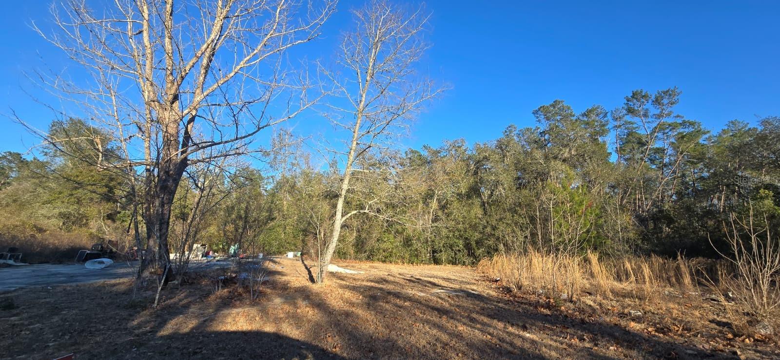 BIG SCRUB CAMPSITES - Land