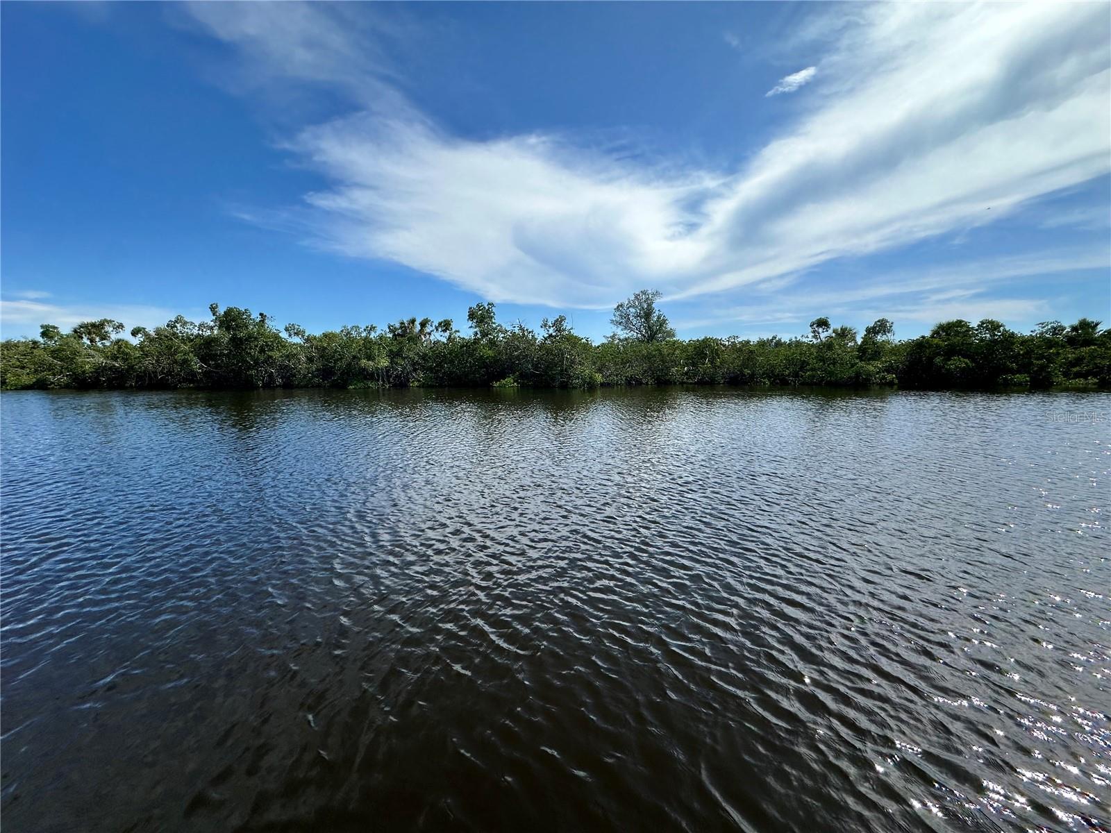 Waterfront canal lot with 80' on the water and access to Charlotte Harbor with no bridges! Enjoy the relaxing view of the Preserve across the canal from this lot that also features a concrete seawall and concrete boat dock. Located just 14 minutes from the Port Charlotte Beach Park where you can put your toes in the sand or soak up the gorgeous sun and fabulous views of the sunset! There is no HOA or deed restrictions in the neighborhood except for county codes and it is conveniently located near shopping and dining.