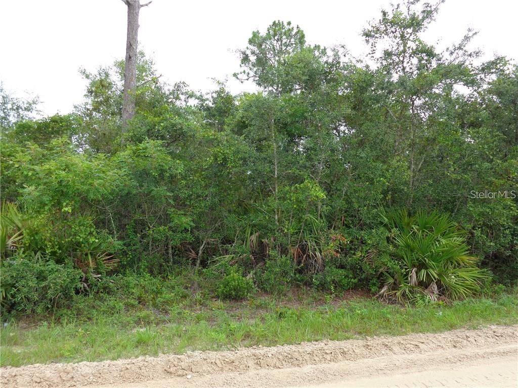 DAYTONA PARK ESTATES SEC D - Land