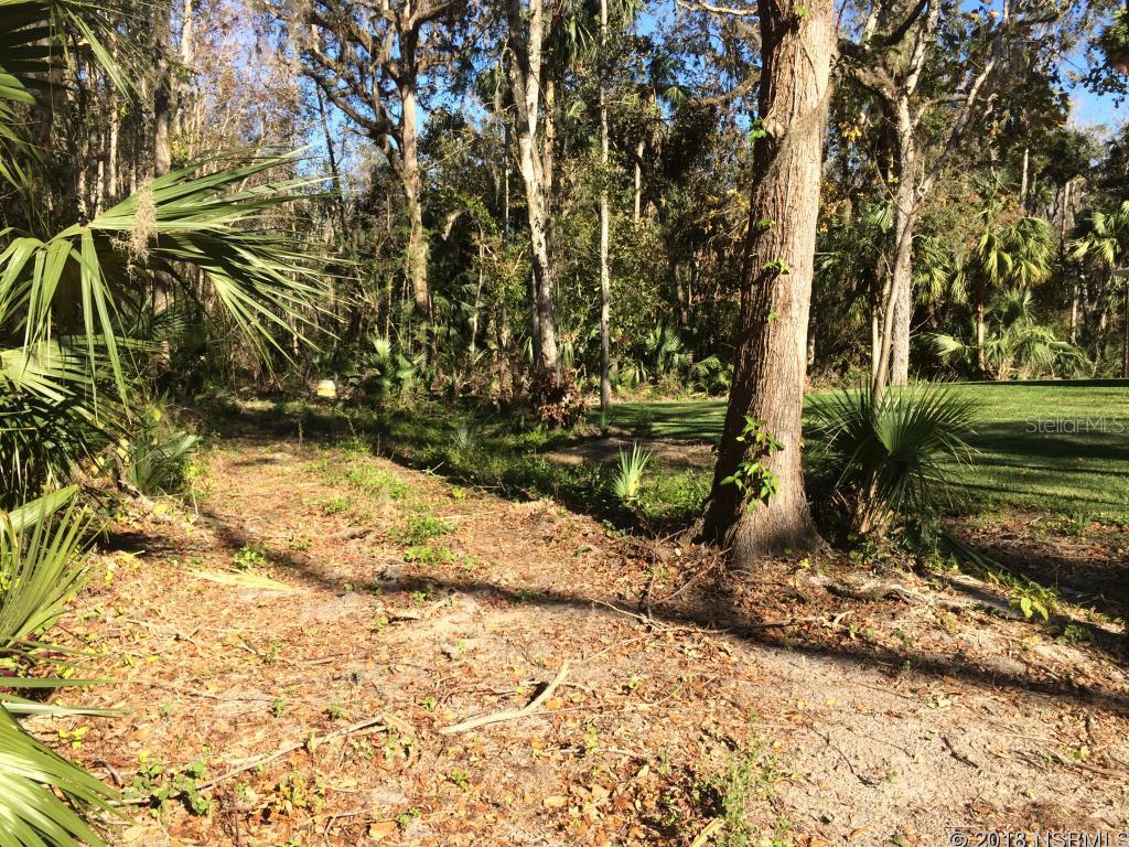Beautiful wooded lot on Juanita Dr. Build your retirement home.  Quiet dead end street.  New homes in the neighborhood.  Close to shopping and the beach.  Bring your boat and toys.; Cleared: No