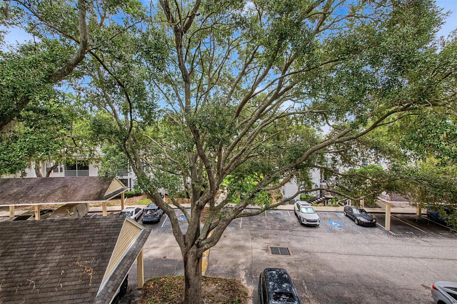 BENTLEY AT COBBS LANDING CONDO THE - Residential