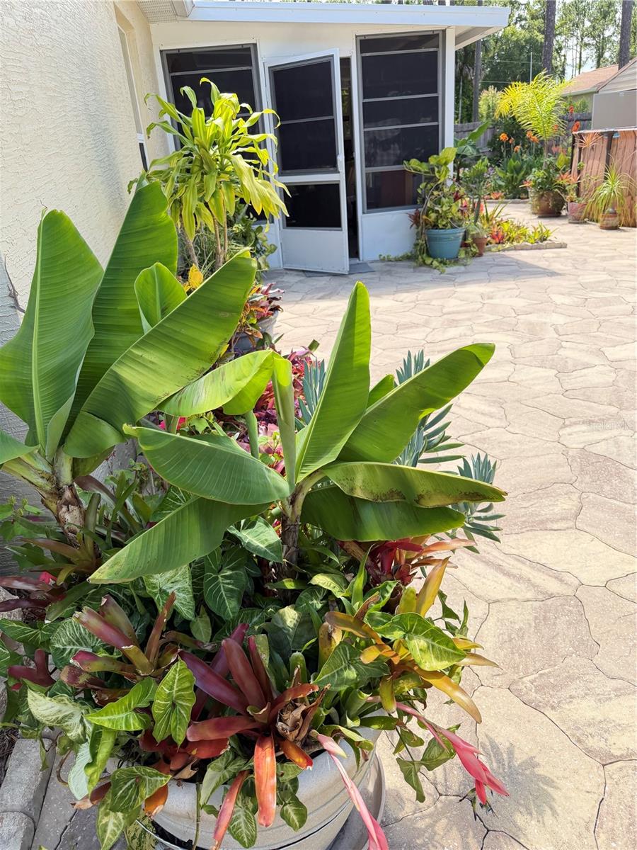 PALM COAST SEC 28 - Residential