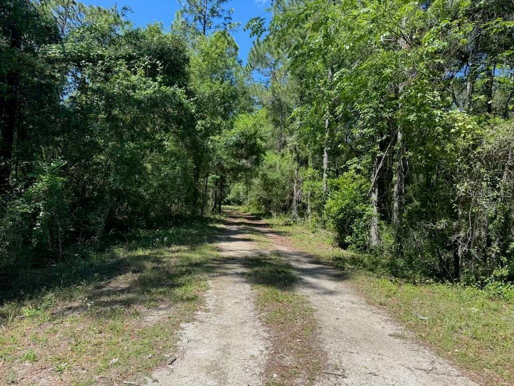 There are not many lots this size left! Great natural resources available in the area include Croom State Forest which has acres off recreation area allowing camping, backpacking, biking, fishing, and horseback riding. There are two lakes with public access within 30 minutes. No HOA & No CDD FEES!! This quiet area is only 55 mins to Orlando attractions and 45 to Busch Gardens and Tampa Airport. Not in a flood zone fema flood zone x. Land is zoned R1C to build your custom dream home!