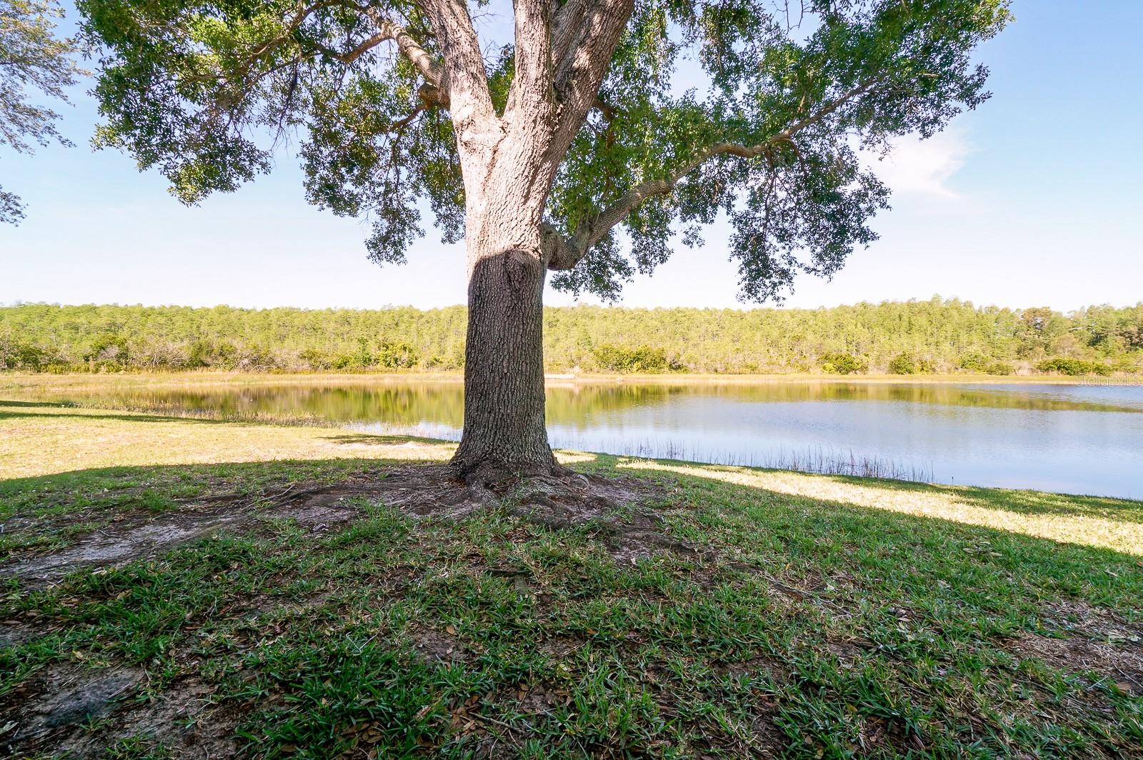 FALCON TRACE - Residential Lease