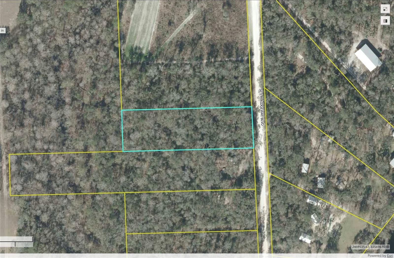 1.6 Acres of lush wooded land just a stones throw from the historic Suwanee River.  Create your own private getaway, the opportunities are endless.  This property is ideal for a mobile home site or clear a shady spot for your RV.  Priced to sell, all information is from the county website, buyer to verify dimensions, agent is related to owner.