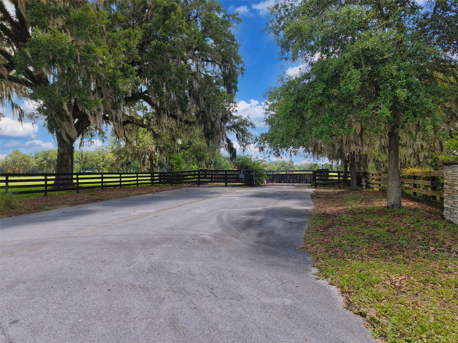 PARADISE FARM - Land