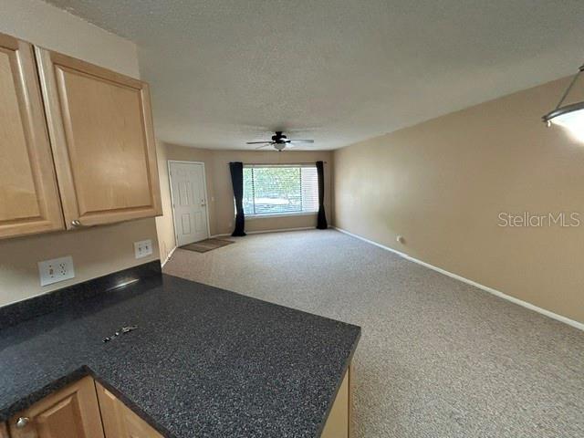BELLEAIR VILLAGE CONDO - Residential