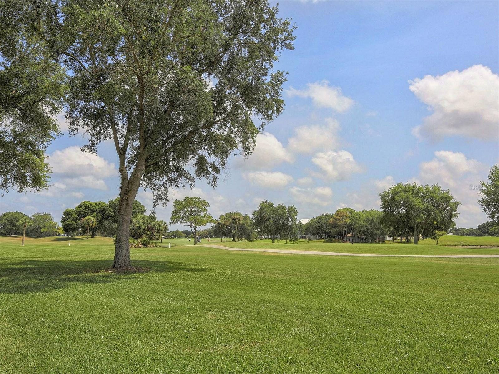 EIGHTH FAIRWAY - Residential
