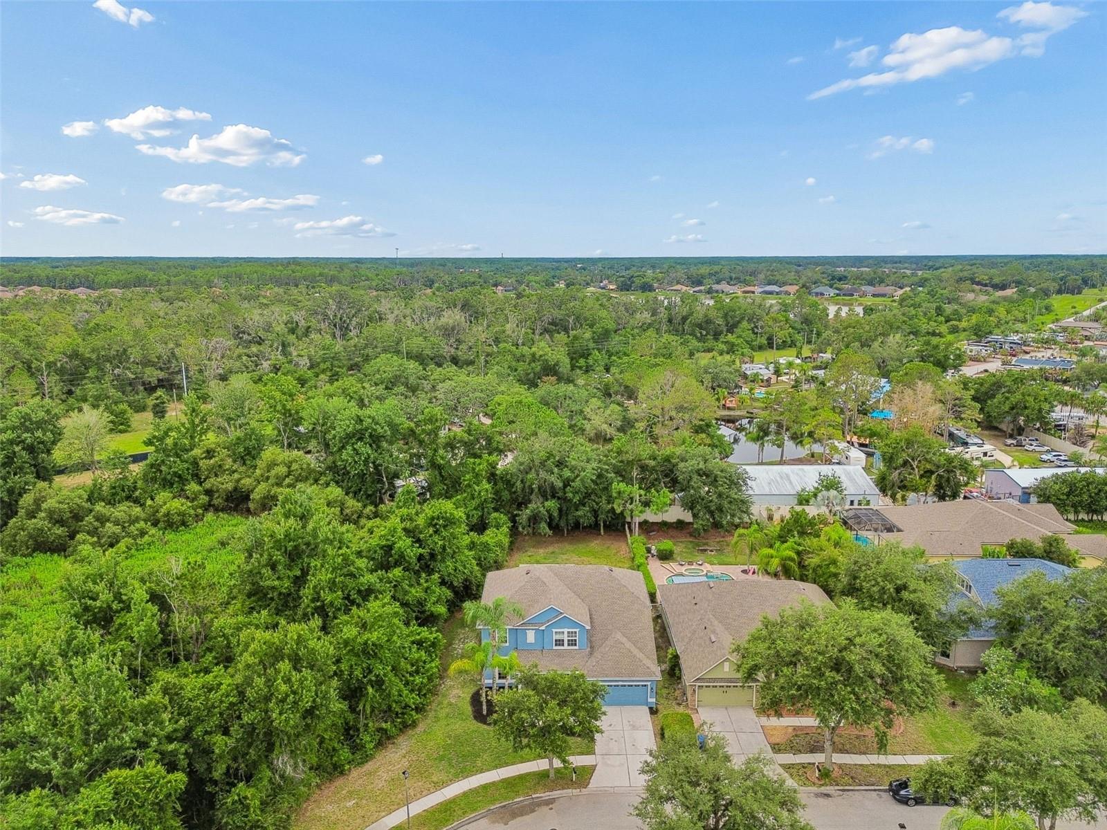 WILDERNESS LAKE PRESERVE PH 02 - Residential