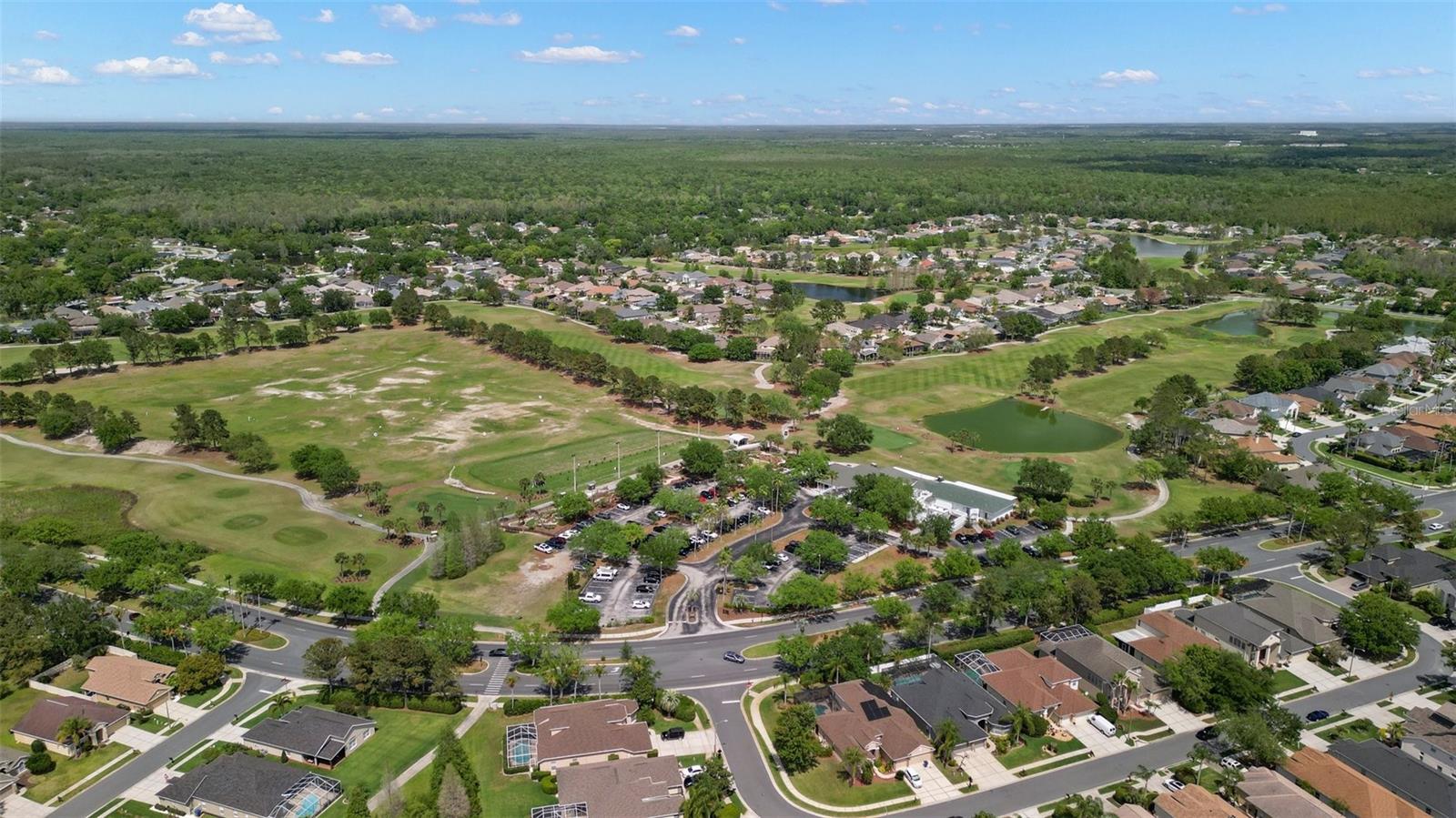 PLANTATION PALMS - Residential