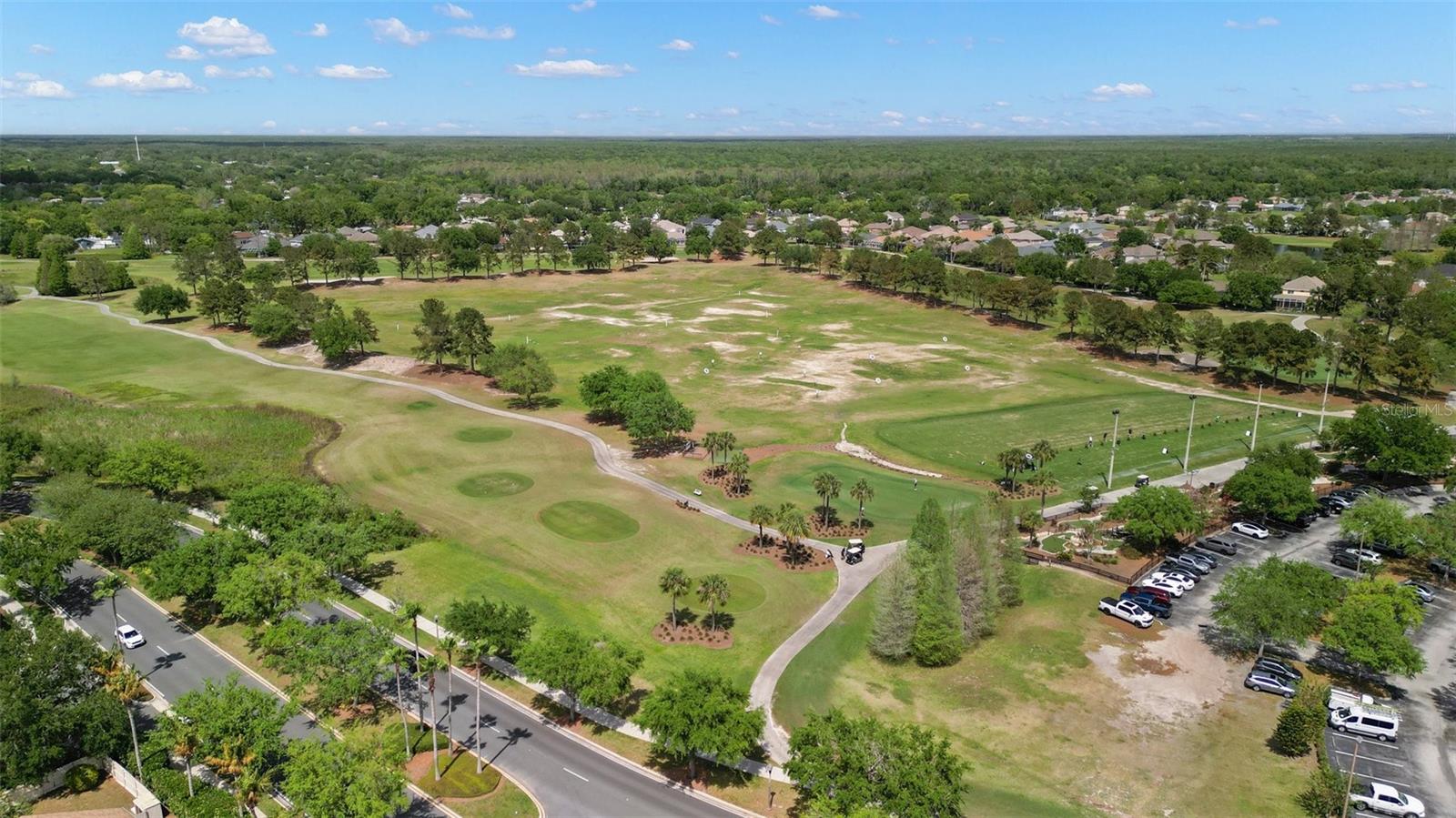 PLANTATION PALMS - Residential