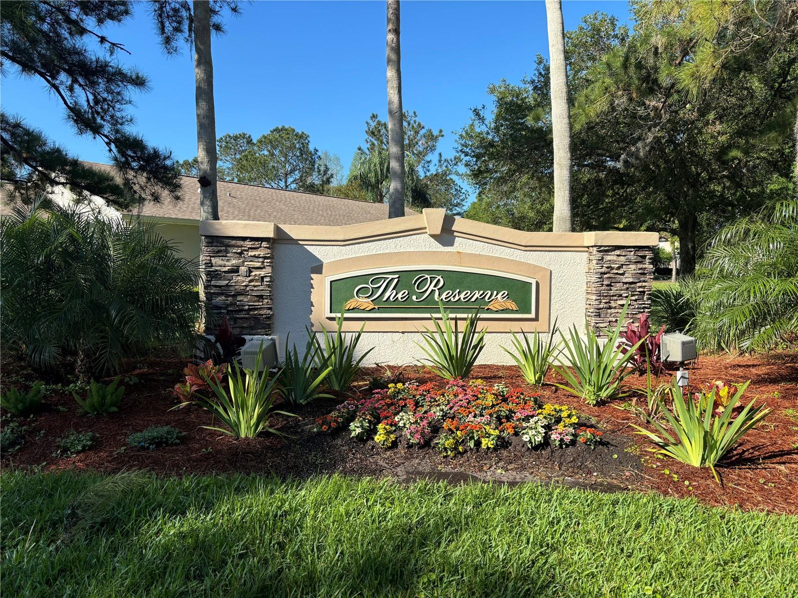 PLANTATION PALMS - Residential