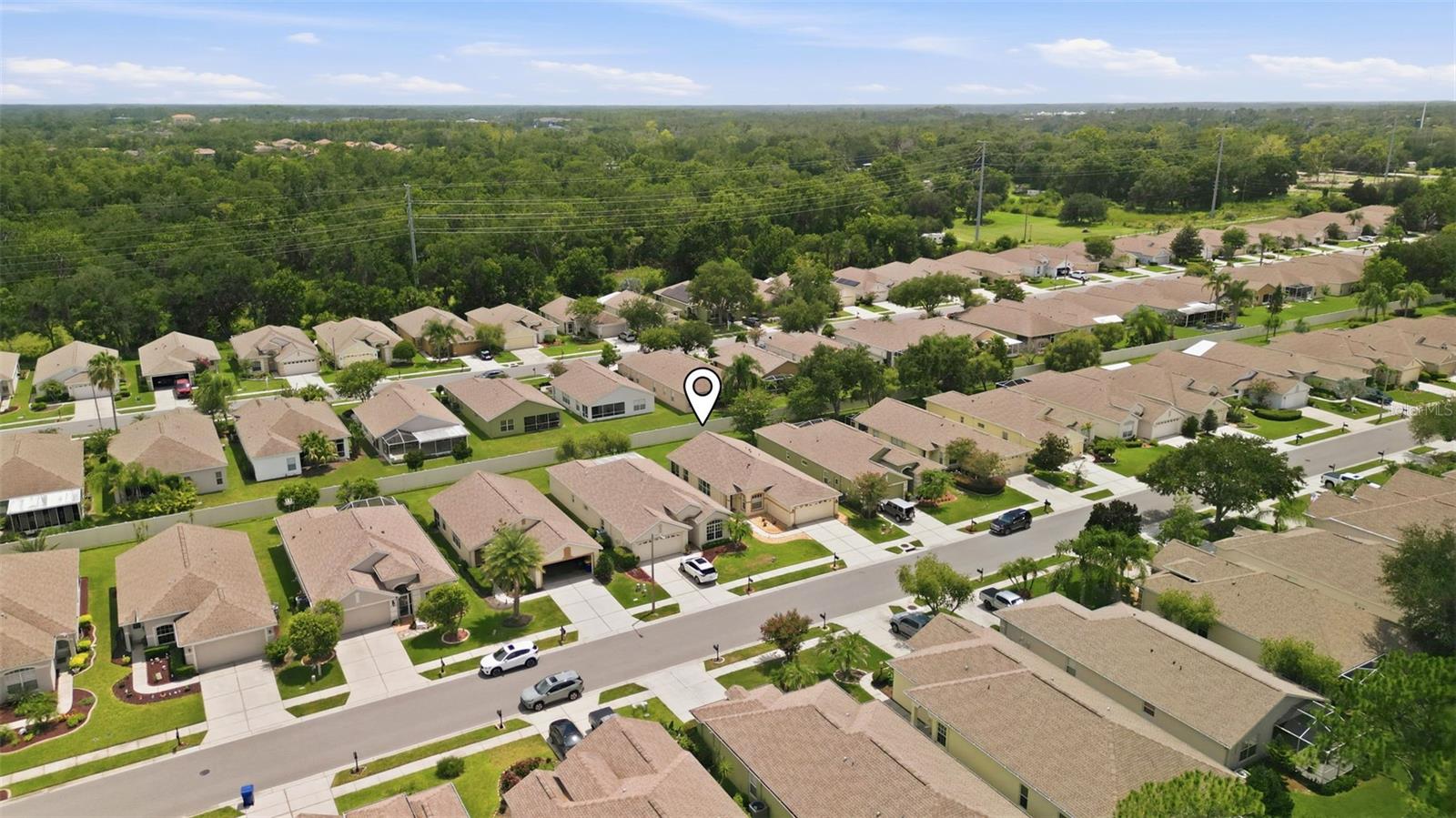 PLANTATION PALMS - Residential